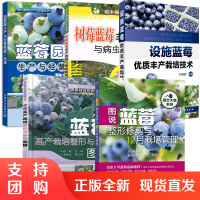 [全5册]图说蓝莓整形修剪与12月栽培管理蓝莓园生产与经营致富一本通病虫害防治设施蓝莓优质丰产栽培技术整形与修剪图解