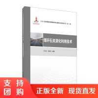 [新书]煤矸石资源化利用技术/大宗工业固体废弃物制备绿色建材技术研究丛书 煤矸石利用-综合利用