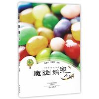 [有货]魔法鹅卵石