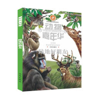 [有货]动物嘉年华:陆地好朋友