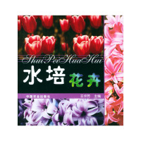 [有货]水培花卉