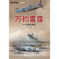 [有货]万钧雷霆 P-47战机全史