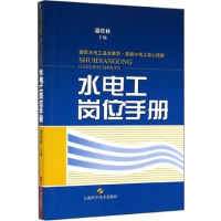 【有货】水电工岗位手册