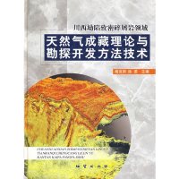 [有货]川西坳陷致密碎屑岩领域天然气成藏理论与勘探开发方法技术