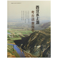 [有货]西汉水上游考古调查报告(精)