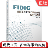 正版 FIDIC合同条件下EPC项目风险分析与对策 徐培涛 承包项目自招标投标 工程设计 竣工验收 实例