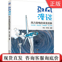 驭风漫谈 风力发电的来龙去脉 宋俊 宋冉旭 风车演进 原理浅析 逸闻趣事 名人传奇 能源 风能 储能 台风 风电