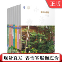 套装 共7册 庭院配色技巧+月季玫瑰花园+杂木小庭院+初学者的园艺技巧+畅游菜园与花海+自然风花园+营造庭院怀旧时光