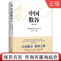 中国数谷 第二版 大数据战略重点实验室 连玉明 贵州 贵阳 技术标准创新基地9787111652304机械工业出版社
