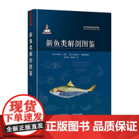  新鱼类解剖图鉴木村清志中国农业出版社9787109243521