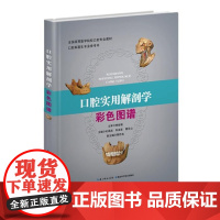  口腔实用解剖学彩色图谱 杜昌连 湖北科学技术出版社 9787535266590 null nu