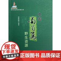  中国葡萄属野生资源 贺普超 中国农业出版社 9787109168152 葡萄属--野生植物--