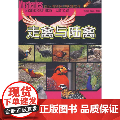  走禽与陆禽-飞禽之谜 李湘涛摄影 黄山书社 9787546102702 鸟类--普及读物
