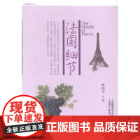  法国细节 何祎文 上海锦绣文章出版社 9787545215786 传统文化介绍法国 null