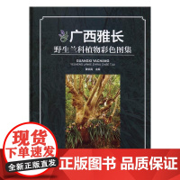  广西雅长野生兰科植物彩色图集 本社 中国林业出版社 9787503888687 兰科野生植物广