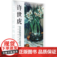 当代绘画艺术范本:许世虎色彩静物教学作品 许世虎 重庆大学出版社 9787562499480