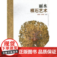  丽水根石艺术 孙伟祥 中国林业出版社 9787503868115 根雕鉴赏丽水图集 null