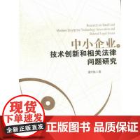  中小企业技术创新和相关法律问题研究 董中保 经济管理出版社 9787509620267 中小企