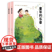  童年的乐章 花美书屋 中国海洋大学出版社 9787567012660 儿童文学日记作品集中国当