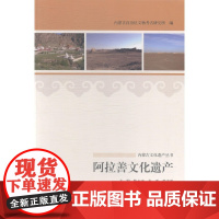 阿拉善文化遗产 陈永志 文物出版社 9787501040452 文化遗产阿拉善盟 null