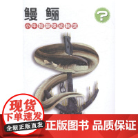  鳗鲡-小牛顿趣味动物馆 阿兰·贝热龙 中国和平出版社 9787513708708 鳗鲡少年读物