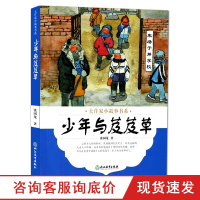 大作家小故事书系:少年与芨芨草 7-10-12岁儿童文学校园成长励志暖心小说故事书 二三四五年级中小学生课外阅读新华书
