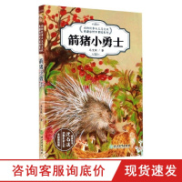箭猪小勇士(全彩美绘版) 动物故事大王马文秋奇趣自然大冒险系列 儿童文学百科书籍6-12周岁三四五六年级小学生课外