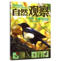 自然观察:我的第一本观鸟日记