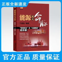 能源就是命脉白益民财团商道系列书能源安全书世界能源日本财团南海争端钓鱼岛争端三井帝国在行动海外拓展借鉴经验