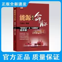 能源就是命脉白益民财团商道系列书能源安全书世界能源日本财团南海争端钓鱼岛争端三井帝国在行动海外拓展借鉴经验
