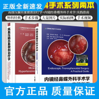 高血压脑出血微创治疗学+内镜经鼻蝶外科手术学:实践指南 两本 从开颅手术到微创锁孔手术 脑出血外科学书籍 中国科学技术