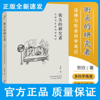 街头的研究者 法律与社会科学笔记 贺欣 著 介绍当代西方法律与社会科学的理论 治学之道 北京大学出版社 9787301