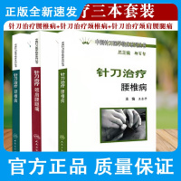 针刀治疗腰椎病 中国针刀医学临床系列丛书+针刀治疗颈椎病+中国针刀医学临床系列丛书·针刀治疗颈肩腰腿痛 三本 人民卫生