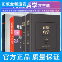 肾脏病学第四版+肾脏病理诊断图谱第3版+肾脏病学进展2020 三套 肾内科书籍 肾脏病临床概览 肾内科学临床实用 人民