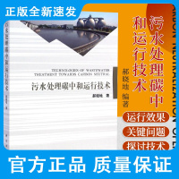 污水处理碳中和运行技术 郝晓地 编著