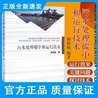 污水处理碳中和运行技术 郝晓地 编著