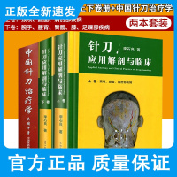 正版2册针刀应用解剖与临床上下卷册+中国针刀治疗学 两本套装 临床诊断与治疗 解剖图谱 针灸经络 穴位 推拿 按摩 拔