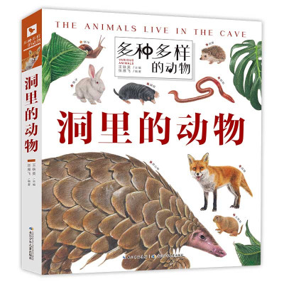 多种多样的动物：洞里的动物 （精装彩图版）王轶美9787572102431长江少年儿童