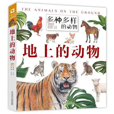多种多样的动物：地上的动物 （精装彩图版）王轶美9787572102424长江少年儿童