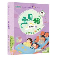 小枞树原创儿童文学精品:宝贝猪安武林9787570706655安徽少年儿童