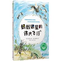 魔法象&middot;故事森林:蚂蚁银星的伟大飞行金丁焕9787559834065广西师范大学
