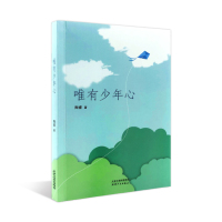 唯有少年心 陶睿小说 新晋小作家儿童文学原创课外书9-12-13岁 中小学生一二三四五六年级课外阅读书籍故事品藏书