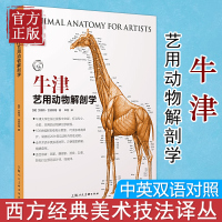 牛津艺用动物解剖学 中英对照版500余幅常见动物解剖结构示意图动物骨骼与肌肉运动结构 动物绘画技法解剖教程教学工具书籍