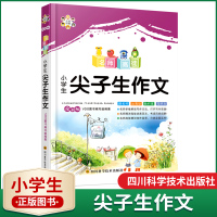 正版 小学生尖子生作文 作文小学生写作文 同步作文名师高徒全彩版作文书优秀作文书同步作文辅导四年级作文写作技巧