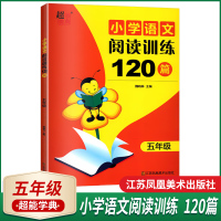 正版书籍2021小学语文阅读训练120篇五年级上下学期通用快速提高语文成绩的得力助手小学生5年级上语文阅读习题集小学教