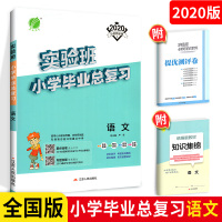 实验班小学毕业总复习语文 全国版 小学毕业总复习语文小考专题训练毕业系统总复习测试题真题解析通典知识总复习资料