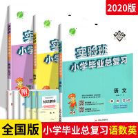 实验班小学毕业总复习语文数学英语3本 全国版 小学毕业总复习小考专题训练毕业系统总复习测试题真题解析通典知识复习资料