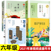 2021年寒假阅读全套4册六年级小学生课外书籍遥远的彩虹班荆凡蓝调江南金曾豪墨童故事里的中国冯与蓝萧萧杨柳吴新