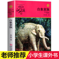 白象家族 动物小说大王沈石溪·品藏书系 少儿文学小说寓言故事书书 7-10-12-14岁儿童青少年阅读物小学生课外