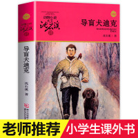 导盲犬迪克 沈石溪动物小说品藏书系升级版 小学生课外阅读书籍6-12岁青少年版儿童文学三四五六年级儿童文学故事